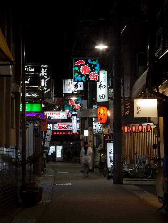 Takayama At Night 11-0795.jpg